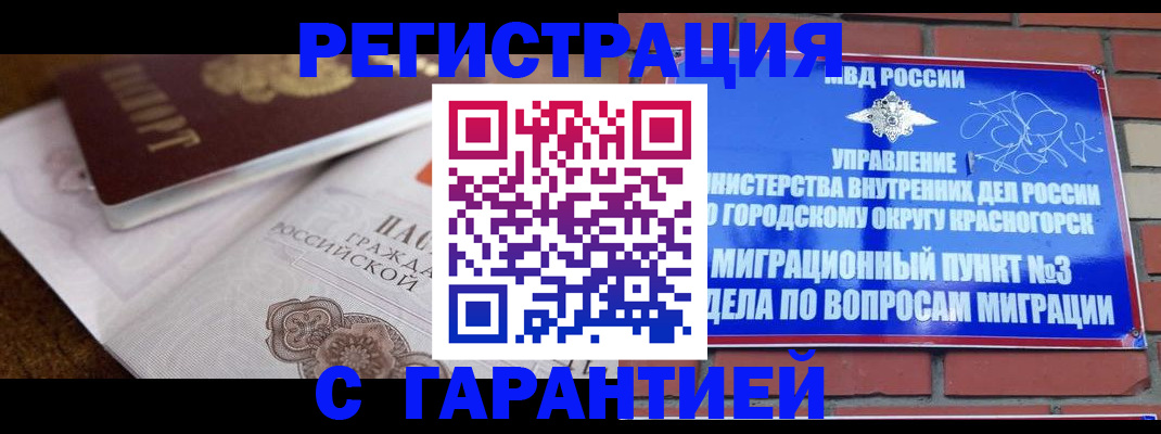 прописка 2025 в Звенигово